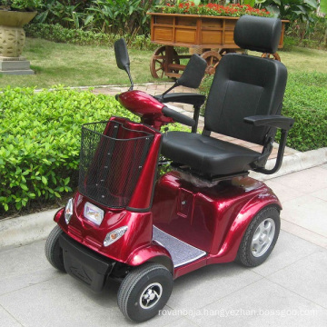 China OEM Single Seat Electric Car for Disabled (DL24800-3)